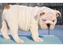 ������ 2 ������ 161.JPG