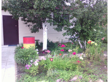 IMG 20160724 171056.jpg