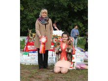 11934533 1907920412766402 1296149780254551118 o.jpg