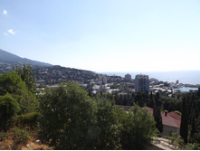 DSCF6576.JPG