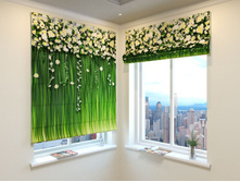 ����� �����.jpg