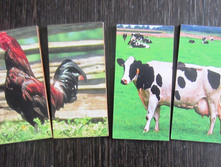 ��������-��������� "�������� ��������"_��� �010-2_176 ���.