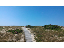 P 20160626 132237.jpg