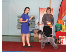 11988274 1911982182360225 4357686759990829092 n.jpg