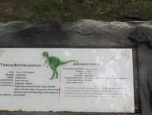 ������ 766.jpg