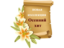 KmuCebDupd8ghx -QgMVczwQzVk.jpg