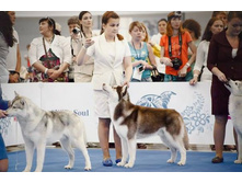 13521904 2074275422797566 1136383825207664510 n.jpg