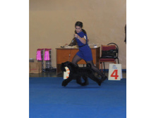 12366337 1950503335174776 4558141383987820838 n.jpg