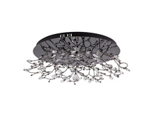 360011312 8200� (20000�).jpg