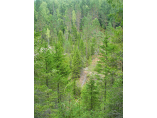 ��������������� ������