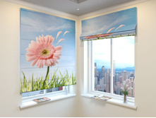 ������� ��������.jpg