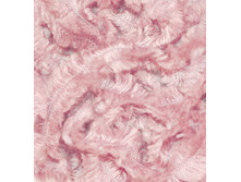 ����� 161.jpg