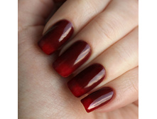 817-120 ���.jpg