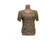 �������� V152.19.jpg