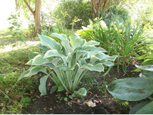 �����  "����� ��������"