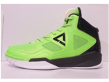 ��������� PE**AK E61**153A .png