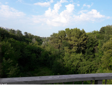 20160730 170408.jpg