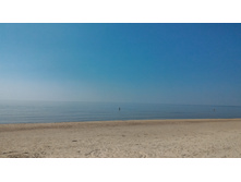 P 20160625 154709.jpg