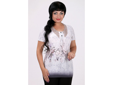 19-70 ����� 4255 �����.jpg