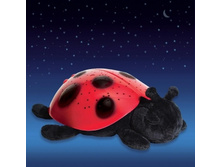 ����������� ������ - �������� ��������� ���� ����������� "����� �������" 440���