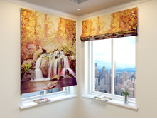 ����������� �������.jpg