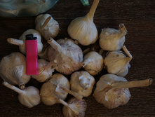 ������ 2016 ����