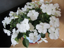 ���� 040.jpg