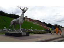 20160709 133609.jpg