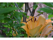 �������� � ����� ������