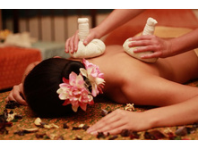 ������� ������ �������� ��������� ��������� (40 ���.) - 1120�.