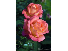 �� �����.jpg