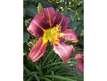 �������� ԣ����1.jpg