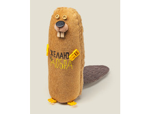 ������� ���������