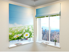 ���������� ����.jpg