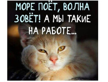 ���� �����...