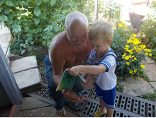 �����������