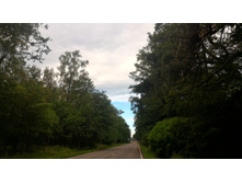 P 20160627 075214.jpg