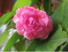 ���� 023.jpg