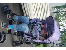 IMGP2060.JPG