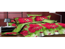 ������ ����������