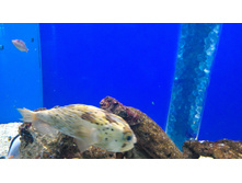 P 20160622 101928 DF.jpg