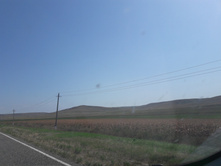 20160816 142951.jpg