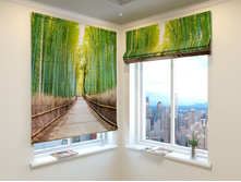 ���������� ���.jpg