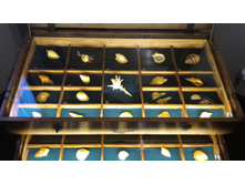 P 20160622 132735.jpg