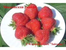 ��������� ���������� ������ 50���..jpeg