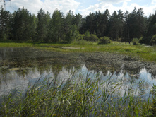 DSCN3121.JPG