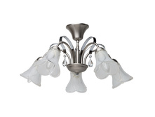 297012005 3200� (9000�).jpg