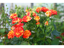 ���� ����.jpg