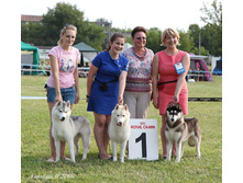 13781701 304820933191181 2404652647885770181 n.jpg