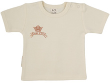 6-26 ��������